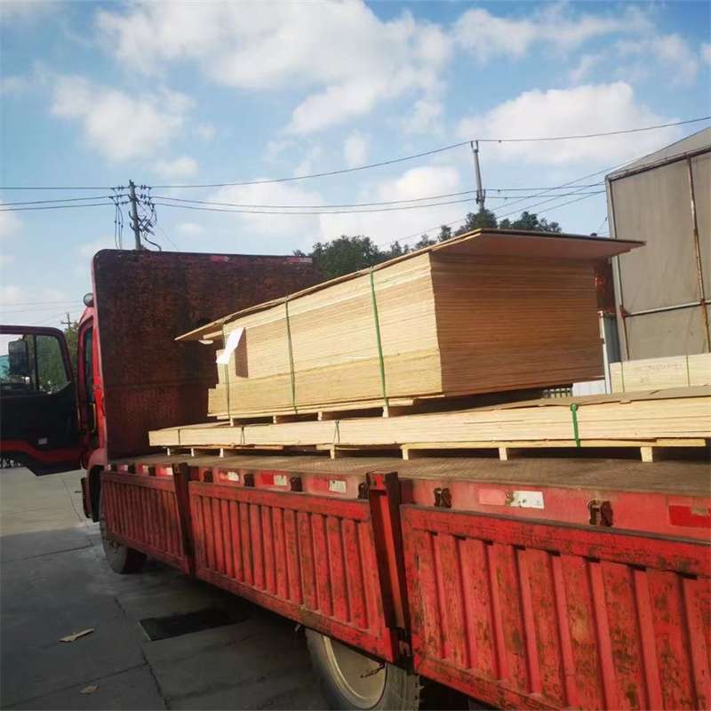 山东菏泽牡丹至塔城货运专线，一站式物流服务助您成功